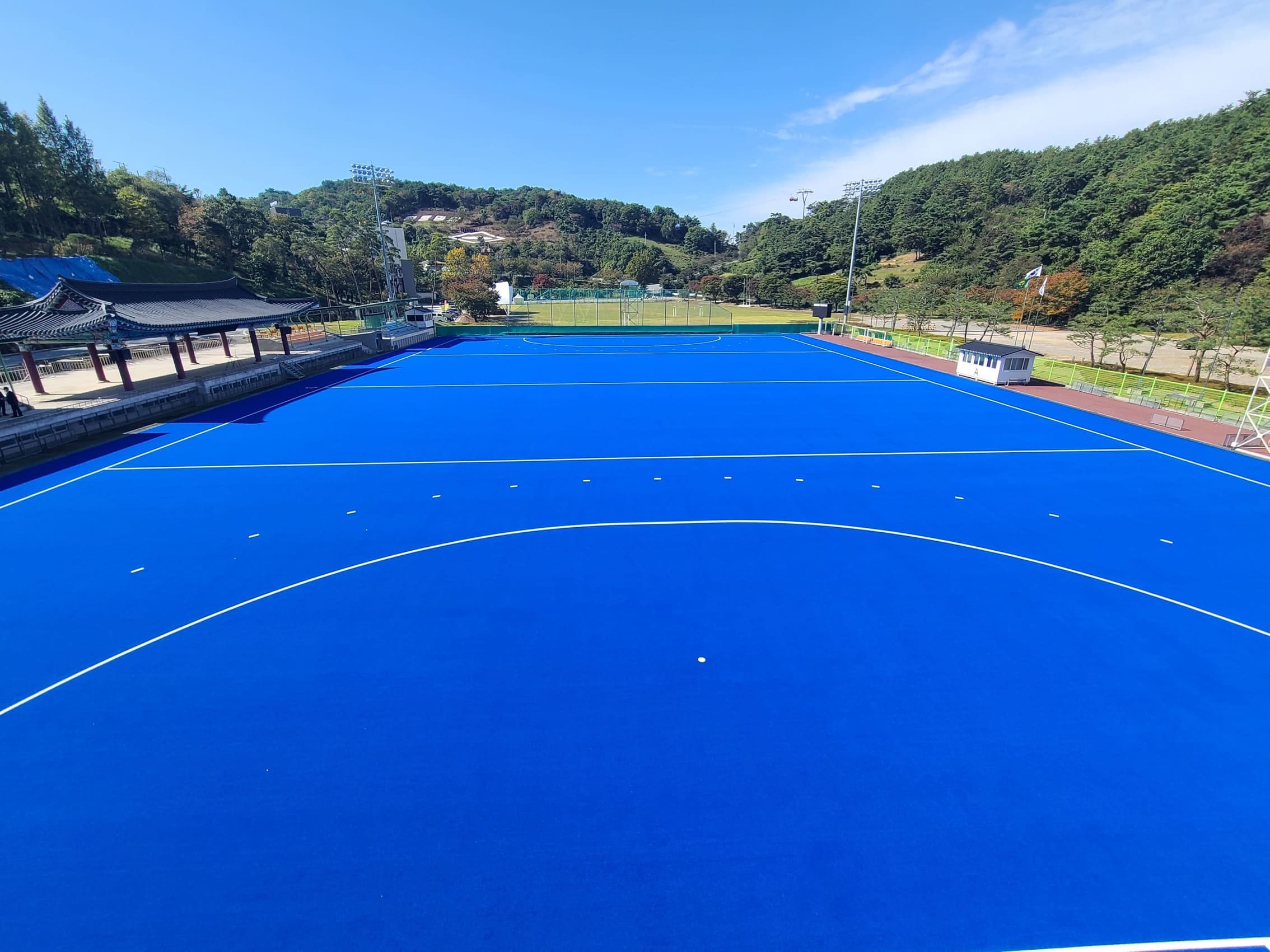 하키장 전용 인조잔디 3