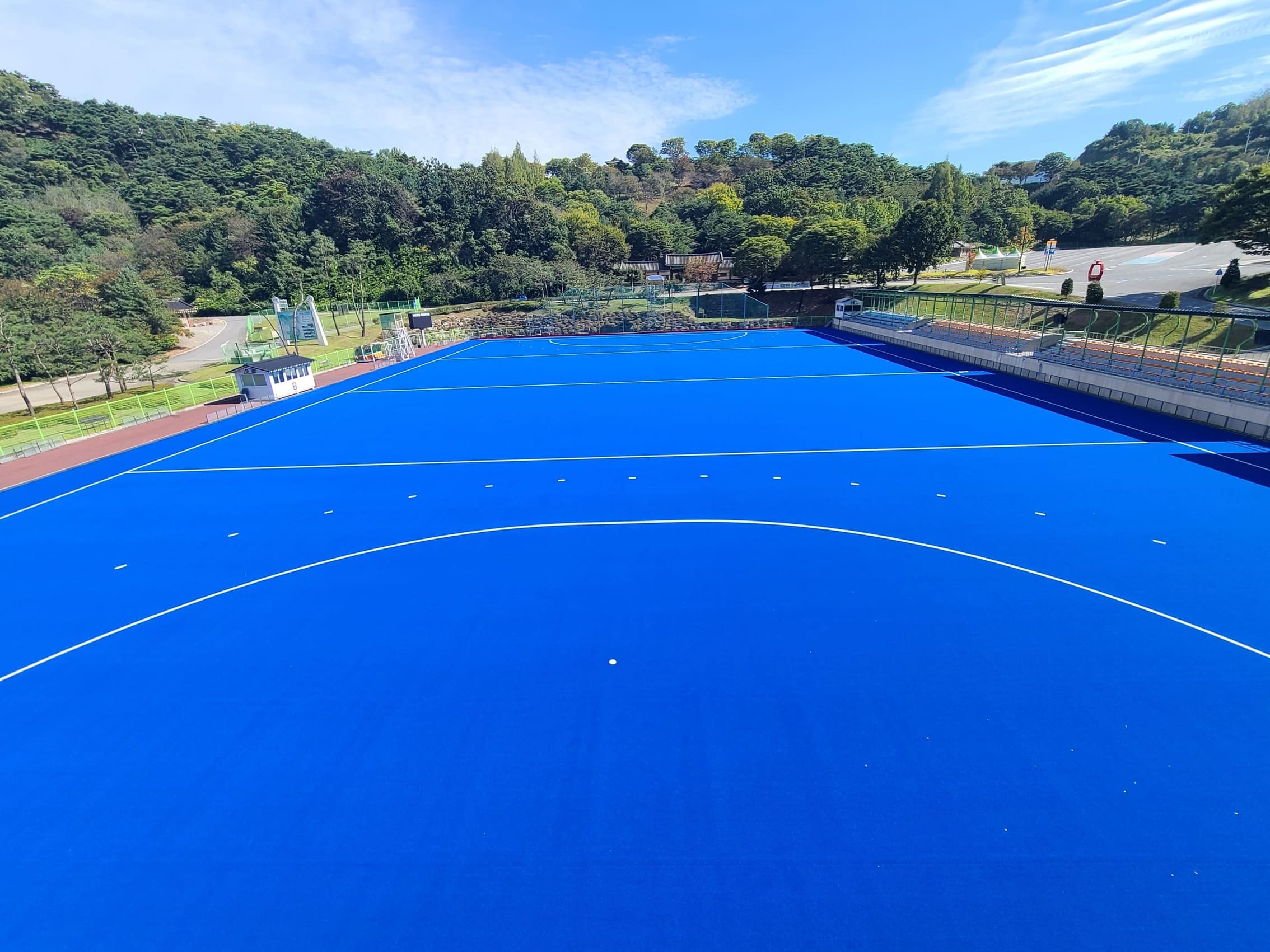 하키장 전용 인조잔디 4