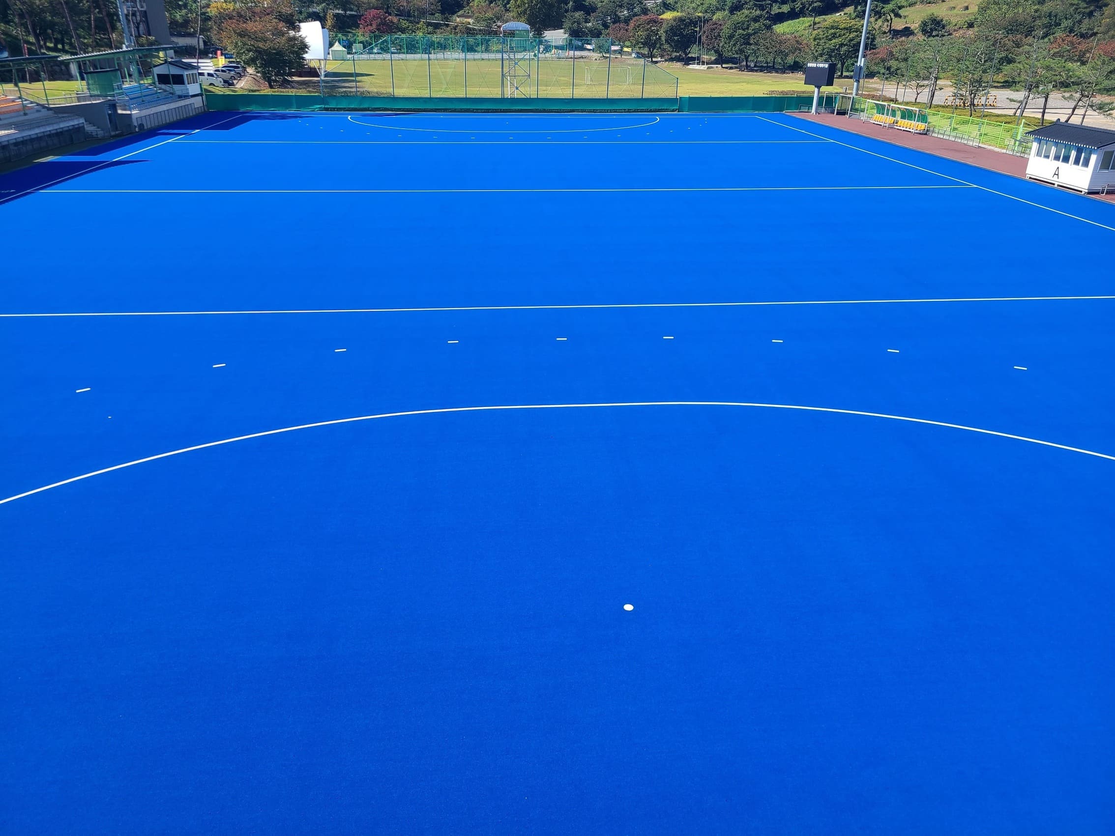 하키장 전용 인조잔디 5